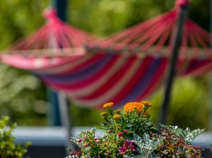 Lovers Hammock