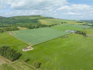 All Hideaways in Summer with Craigowl Hill behind