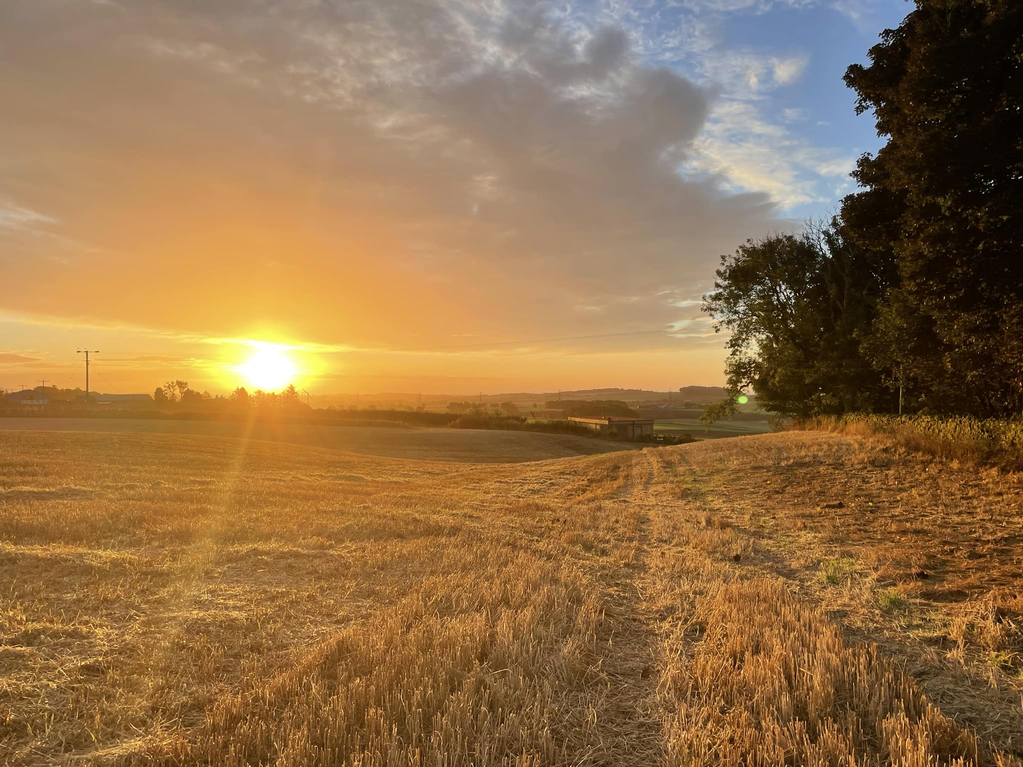 Autumn Early Bird Image