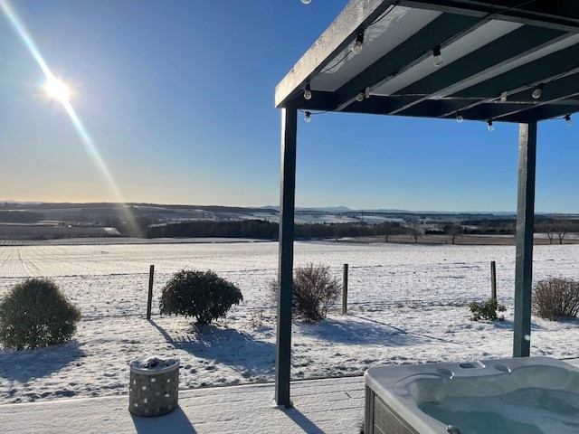 Winter Early Bird Image