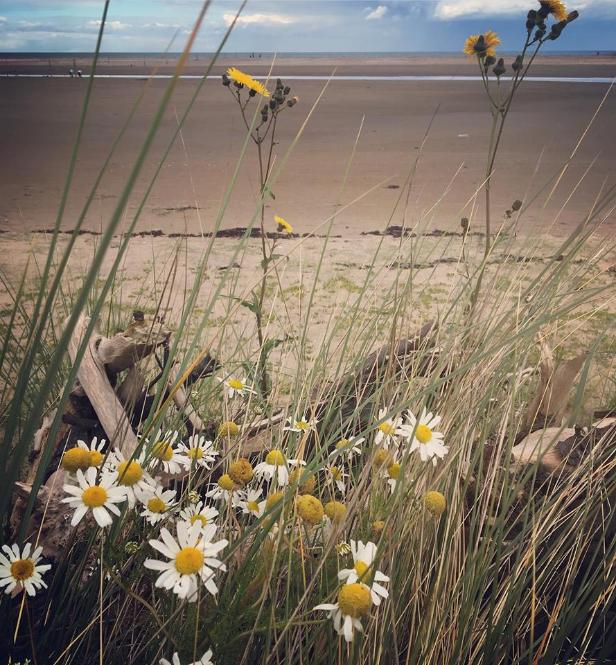 Tentsmuir Beach