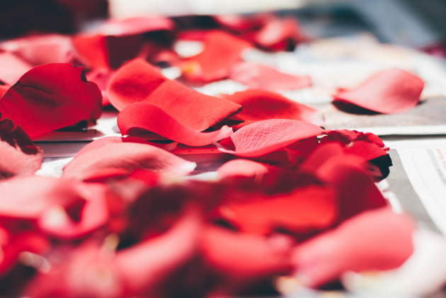 Rose Petals