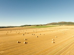 Farm in Harvest