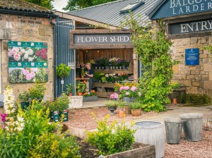 Balgove Larder, Farm shop outside St Andrews 